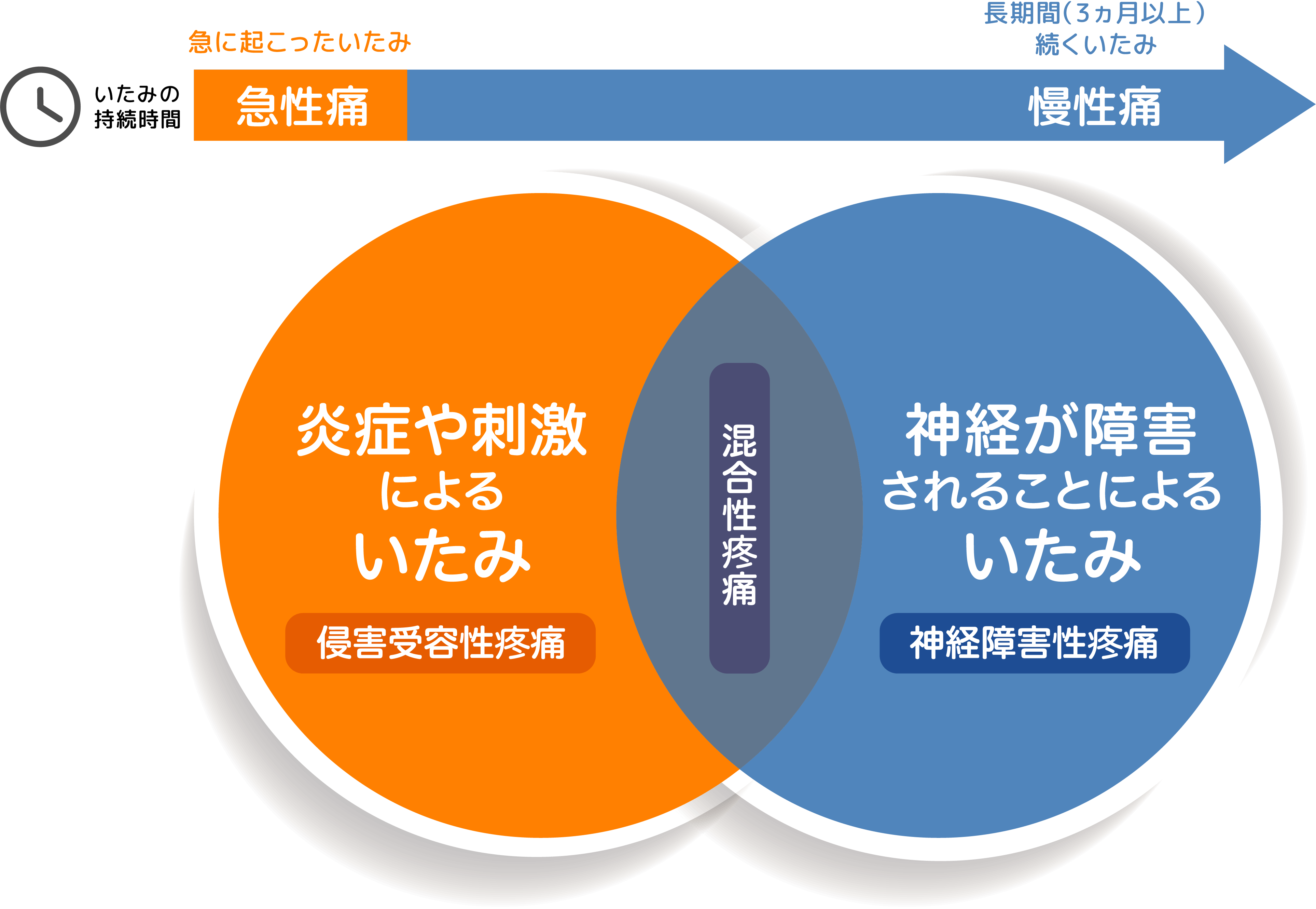 侵害受容性疼痛は炎症や刺激による急性痛です。神経障害性疼痛は神経が障害されることによる慢性痛です。急性痛と慢性痛が合わさっているいたみが混合性疼痛です。